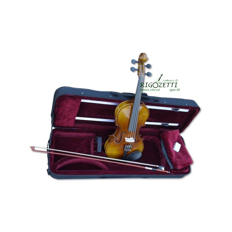 magnifique violon taille 3/4 en étui rectangulaire