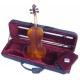 Magnifique violon d'étude Rigozetti 4/4 coloris miel