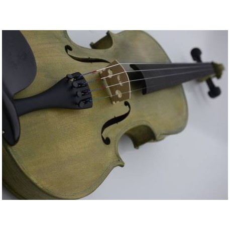 violon 4/4 vert étui rectangulaire avec archet