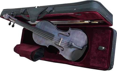 https://www.rigozetti.com/459/violon-44-violet-archet.jpg