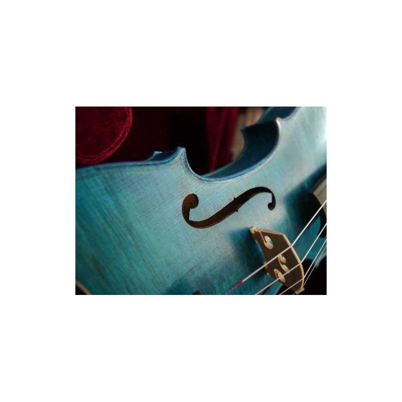Petit violon 1/8 Rigozetti en érable pour enfant 4 à 5 ans avec étui archet.